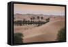 Remah Desert, Al Ain, Abu Dhabi, United Arab Emirates, Middle East-Jane Sweeney-Framed Stretched Canvas