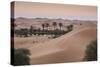 Remah Desert, Al Ain, Abu Dhabi, United Arab Emirates, Middle East-Jane Sweeney-Stretched Canvas