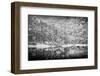 Remaining-Peter Svoboda, MQEP-Framed Photographic Print