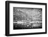 Remaining-Peter Svoboda, MQEP-Framed Photographic Print