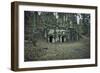 Remains of a bunker at a mountain in a wood in winter in Alsace-Axel Killian-Framed Photographic Print