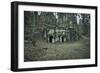 Remains of a bunker at a mountain in a wood in winter in Alsace-Axel Killian-Framed Photographic Print