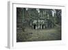 Remains of a bunker at a mountain in a wood in winter in Alsace-Axel Killian-Framed Photographic Print