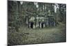 Remains of a bunker at a mountain in a wood in winter in Alsace-Axel Killian-Mounted Photographic Print