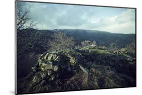 Remains of a bunker at a mountaintop in a wood in winter in Alsace-Axel Killian-Mounted Photographic Print