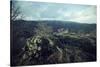 Remains of a bunker at a mountaintop in a wood in winter in Alsace-Axel Killian-Stretched Canvas