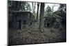 Remains of a bunker in a wood in winter in Alsace-Axel Killian-Mounted Photographic Print