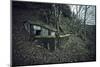 Remains of a bunker on mountain in a wood in winter in Alsace-Axel Killian-Mounted Photographic Print