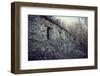 Remains of a bunker with door and windows at a mountain in a wood in winter in Alsace-Axel Killian-Framed Photographic Print