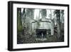 Remains of a defensive wall and a bunker on a mountain in a wood in winter in Alsace-Axel Killian-Framed Photographic Print