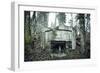 Remains of a defensive wall and a bunker on a mountain in a wood in winter in Alsace-Axel Killian-Framed Photographic Print