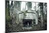 Remains of a defensive wall and a bunker on a mountain in a wood in winter in Alsace-Axel Killian-Mounted Photographic Print