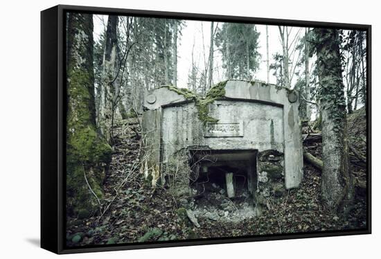 Remains of a defensive wall and a bunker on a mountain in a wood in winter in Alsace-Axel Killian-Framed Stretched Canvas