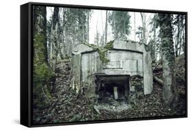 Remains of a defensive wall and a bunker on a mountain in a wood in winter in Alsace-Axel Killian-Framed Stretched Canvas