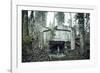 Remains of a defensive wall and a bunker on a mountain in a wood in winter in Alsace-Axel Killian-Framed Photographic Print