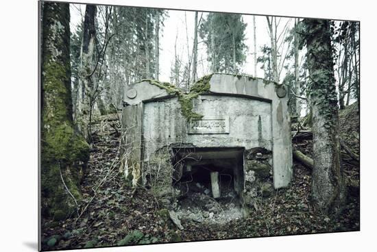 Remains of a defensive wall and a bunker on a mountain in a wood in winter in Alsace-Axel Killian-Mounted Photographic Print