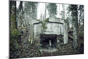 Remains of a defensive wall and a bunker on a mountain in a wood in winter in Alsace-Axel Killian-Mounted Photographic Print