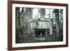 Remains of a defensive wall and a bunker on a mountain in a wood in winter in Alsace-Axel Killian-Framed Photographic Print