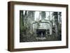 Remains of a defensive wall and a bunker on a mountain in a wood in winter in Alsace-Axel Killian-Framed Photographic Print