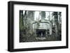 Remains of a defensive wall and a bunker on a mountain in a wood in winter in Alsace-Axel Killian-Framed Photographic Print