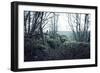 Remains of a defensive wall and a bunker on a mountain in a wood in winter in Alsace-Axel Killian-Framed Photographic Print