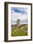 Remains of a Monastery at Selje, Nordland, Norway, Scandinavia, Europe-Michael Nolan-Framed Photographic Print