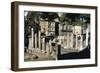 Remains of a Roman Sanctuary, Via Torre Argentina, Rome-null-Framed Giclee Print