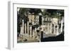 Remains of a Roman Sanctuary, Via Torre Argentina, Rome-null-Framed Giclee Print