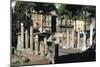 Remains of a Roman Sanctuary, Via Torre Argentina, Rome-null-Mounted Giclee Print