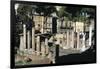 Remains of a Roman Sanctuary, Via Torre Argentina, Rome-null-Framed Giclee Print