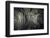 Remains of a room of a bunker on a mountain in a wood in winter in Alsace-Axel Killian-Framed Photographic Print