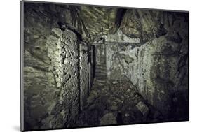 Remains of a room of a bunker on a mountain in a wood in winter in Alsace-Axel Killian-Mounted Photographic Print