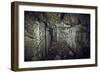 Remains of a room of a bunker on a mountain in a wood in winter in Alsace-Axel Killian-Framed Photographic Print