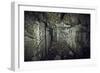 Remains of a room of a bunker on a mountain in a wood in winter in Alsace-Axel Killian-Framed Photographic Print