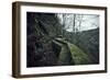 Remains of a wall and a bunker on a mountain in a wood in winter in Alsace-Axel Killian-Framed Photographic Print