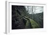 Remains of a wall and a bunker on a mountain in a wood in winter in Alsace-Axel Killian-Framed Photographic Print