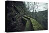 Remains of a wall and a bunker on a mountain in a wood in winter in Alsace-Axel Killian-Stretched Canvas