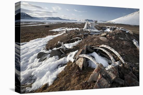 Remains of an Ancient Inuit Sod House-Doug Allan-Stretched Canvas