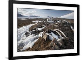 Remains of an Ancient Inuit Sod House-Doug Allan-Framed Photographic Print