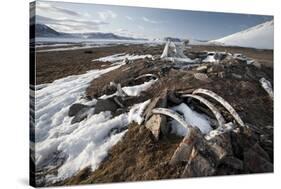 Remains of an Ancient Inuit Sod House-Doug Allan-Stretched Canvas