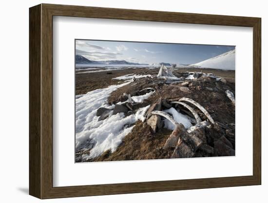 Remains of an Ancient Inuit Sod House-Doug Allan-Framed Photographic Print