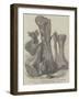 Remains of an Extinct Animal Found in the Isle of Wight-null-Framed Giclee Print