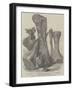 Remains of an Extinct Animal Found in the Isle of Wight-null-Framed Giclee Print