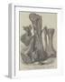 Remains of an Extinct Animal Found in the Isle of Wight-null-Framed Giclee Print