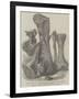 Remains of an Extinct Animal Found in the Isle of Wight-null-Framed Giclee Print