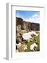 Remains of Forum of Augustus with the Temple of Mars Ultor, Rome, Latium, Italy, Europe-Nico Tondini-Framed Photographic Print