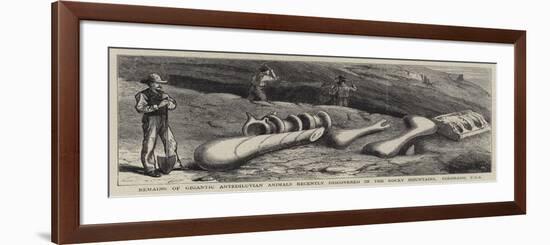 Remains of Gigantic Antediluvian Animals Recently Discovered in the Rocky Mountains, Colorado, Usa-null-Framed Giclee Print