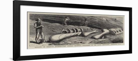 Remains of Gigantic Antediluvian Animals Recently Discovered in the Rocky Mountains, Colorado, Usa-null-Framed Giclee Print