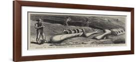 Remains of Gigantic Antediluvian Animals Recently Discovered in the Rocky Mountains, Colorado, Usa-null-Framed Giclee Print