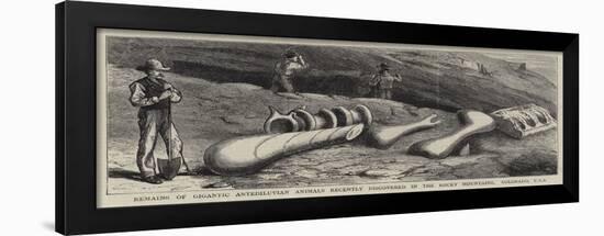 Remains of Gigantic Antediluvian Animals Recently Discovered in the Rocky Mountains, Colorado, Usa-null-Framed Giclee Print